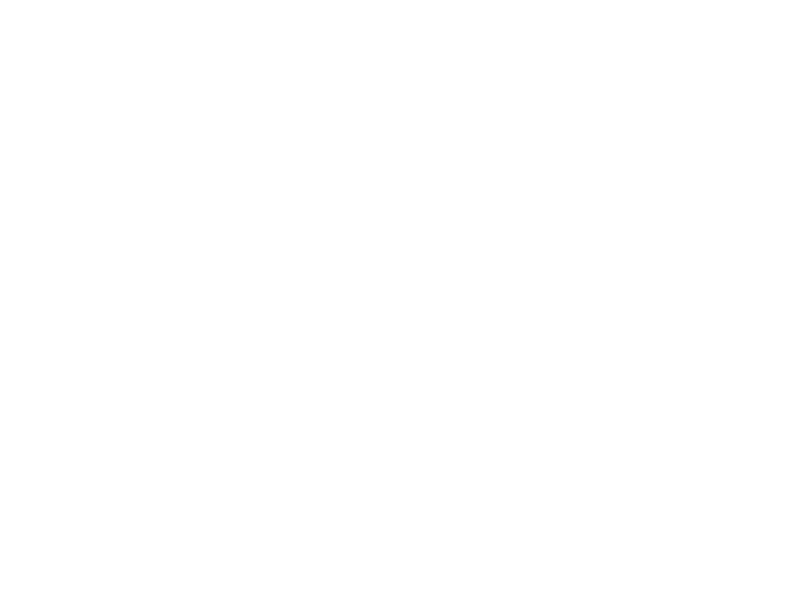 thinkBIGacademics